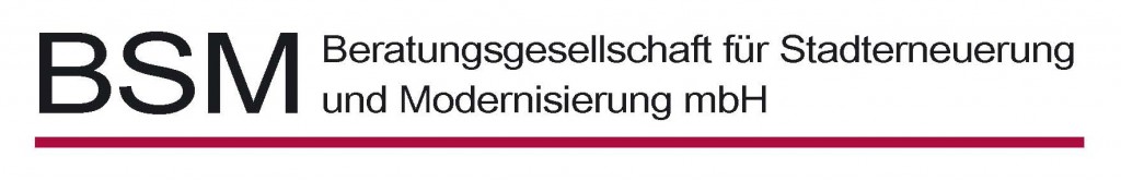 BSM Logo - 2010_01